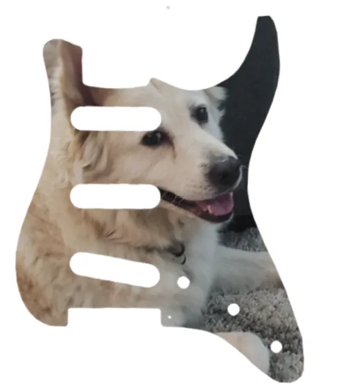 Custom Dog Photo Strat